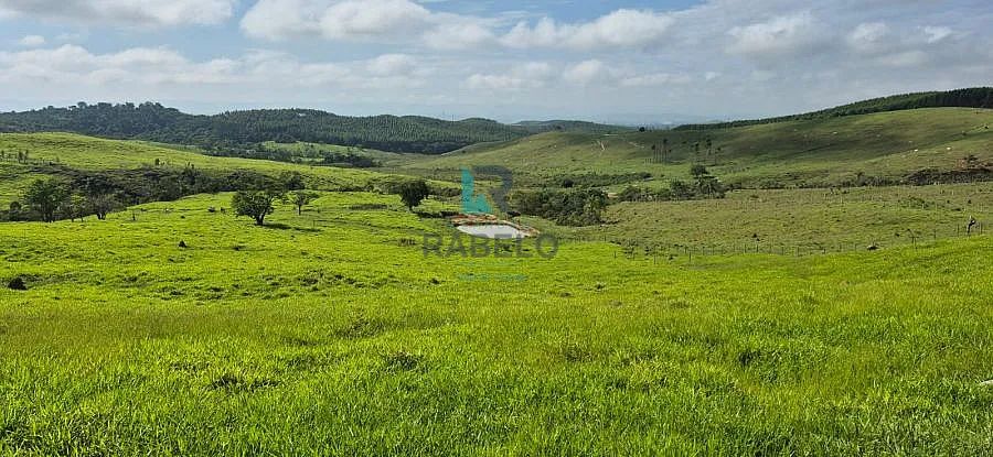 TERRENO RURAL DE TOPOGRAFIA BAIXA EM LORENA-SP