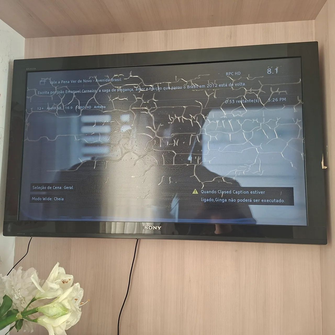 Tv Sony Bravia (Bolhas na tela) - Foto 2
