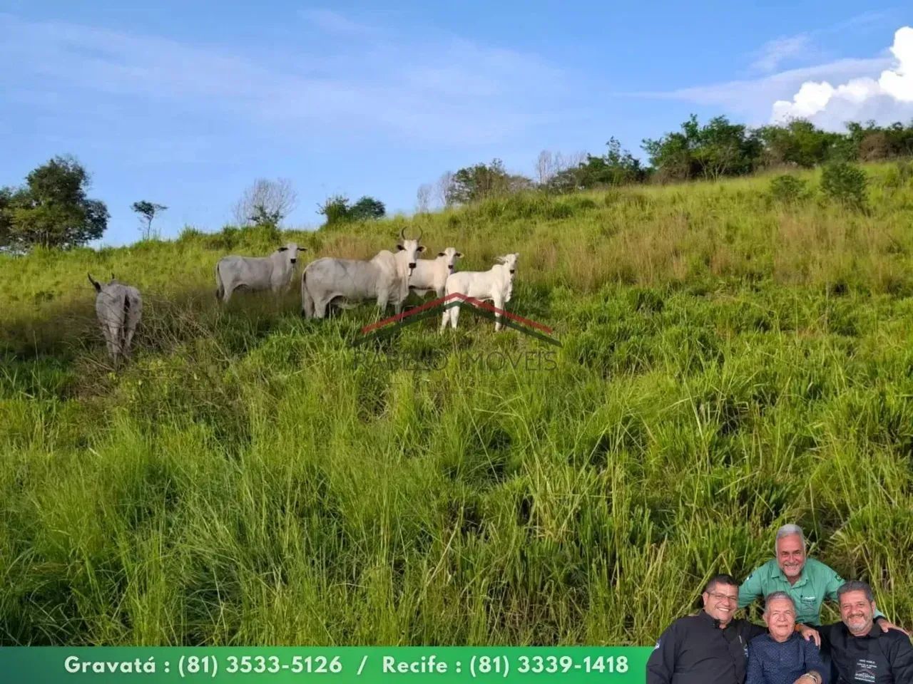 Fazenda Completa em Limoeiro  281,6 Hectares - Foto 4