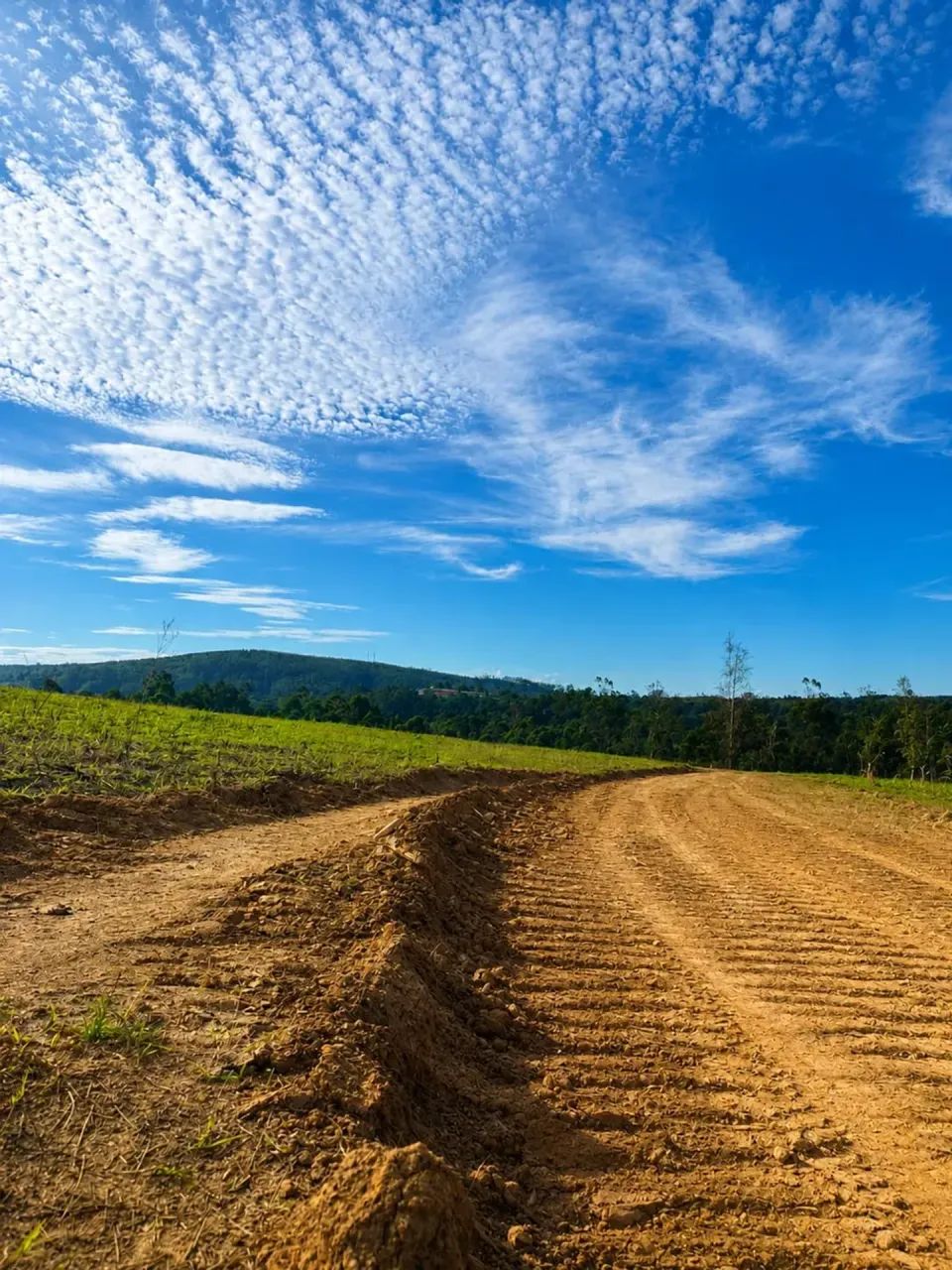 Terreno em Mairinque com árvore