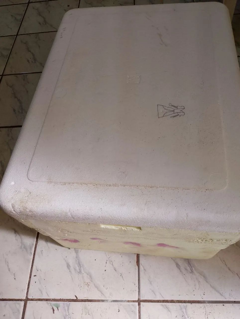 caixa de isopor, semi nova, em boas condições , grande,   80 Reais  - Foto 4