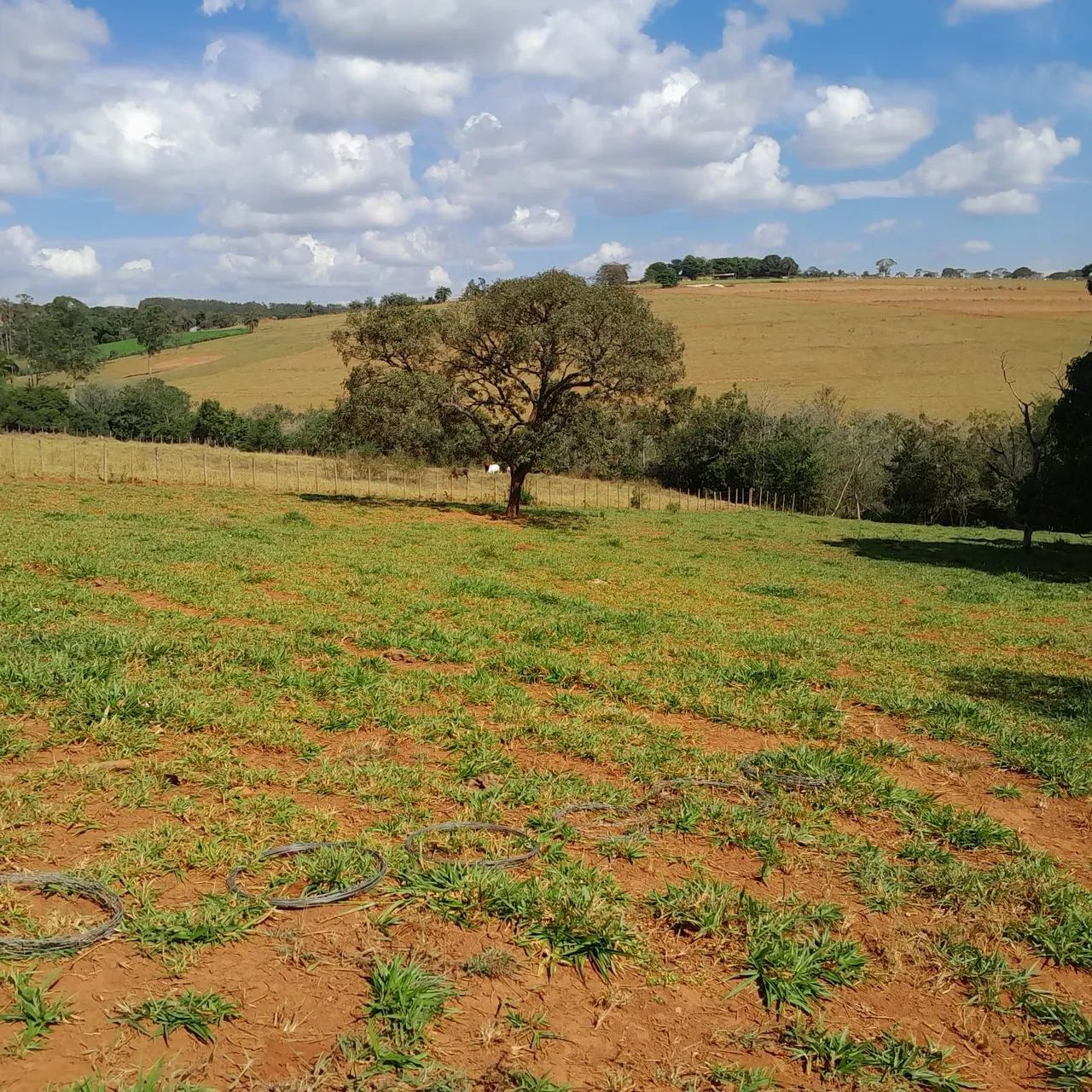 Terreno rural no portal serra azul - Foto 2