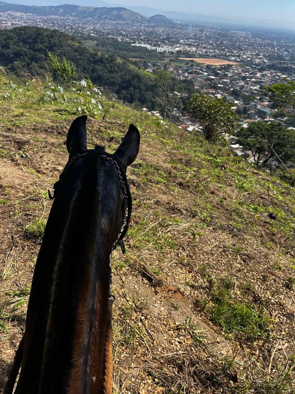 Égua  - Foto 3
