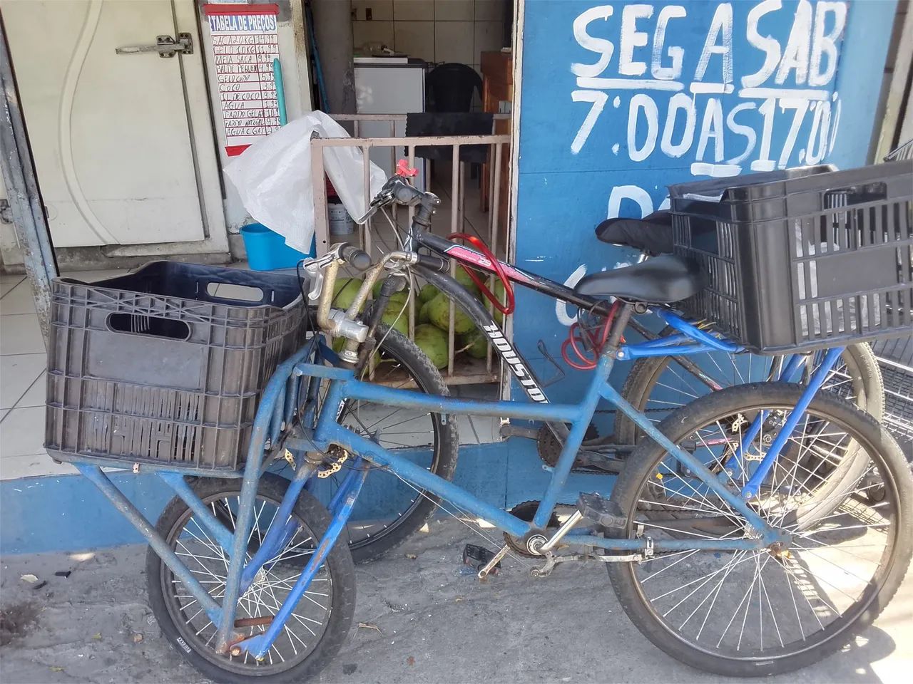 Bicicleta cargueira