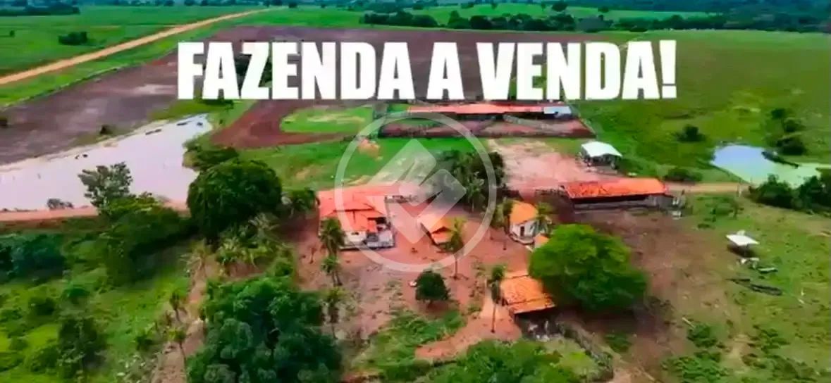 FAZENDA MODAZA Arapoema/TO codigo: 357594 - Foto 3