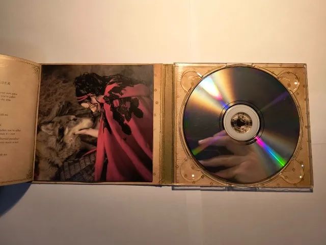 cd evanescence the open door (usado) - Foto 2