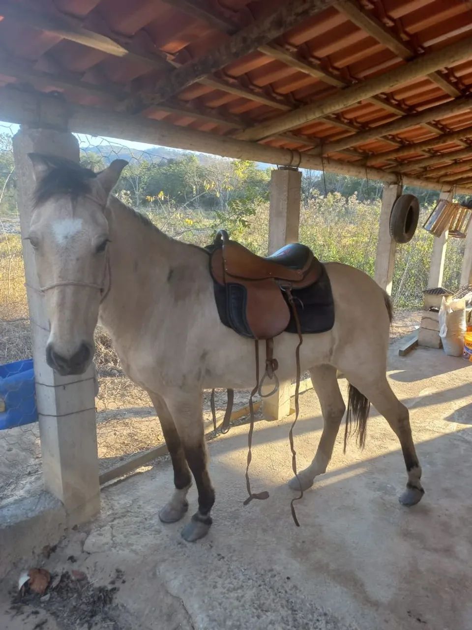 Vendo - Foto 3