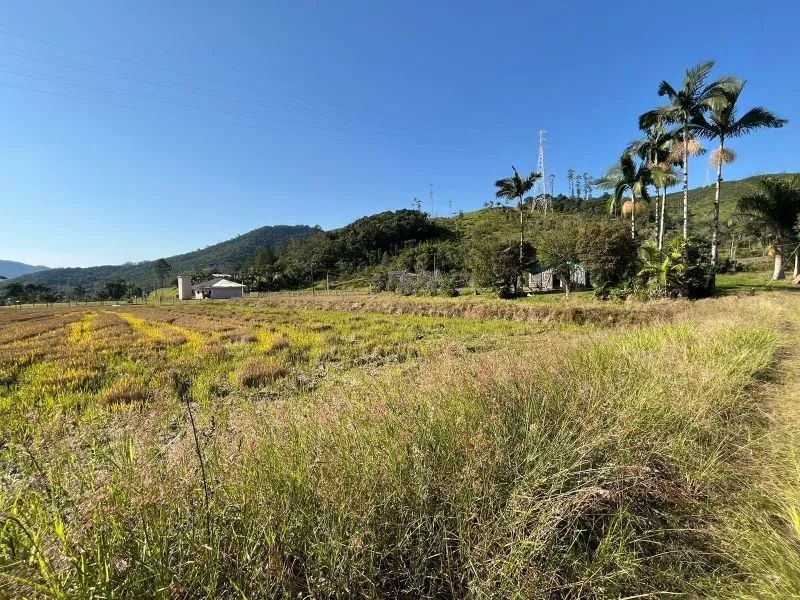 Sítio ASCURRA - SC - Foto 4