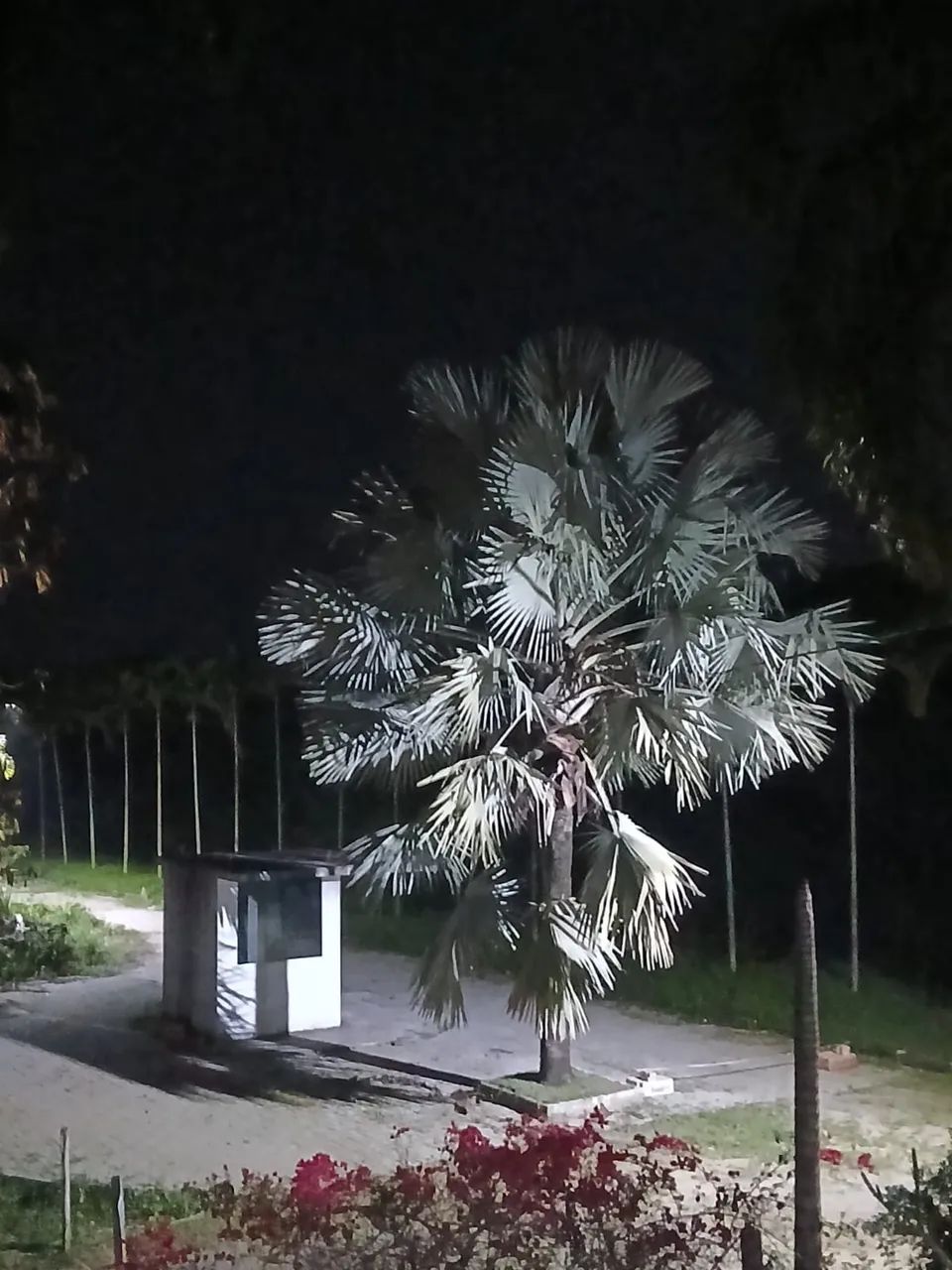 Foto - Rio de Janeiro - Recreio dos Bandeirantes
