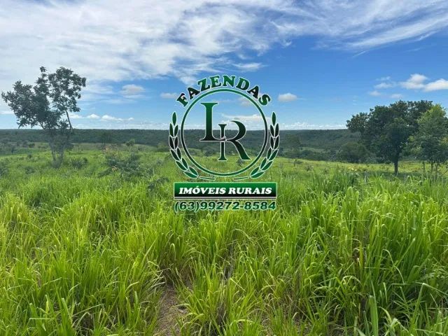 Fazenda 55 Alqueires Dupla Aptidão Próximo a Palmas - Foto 5