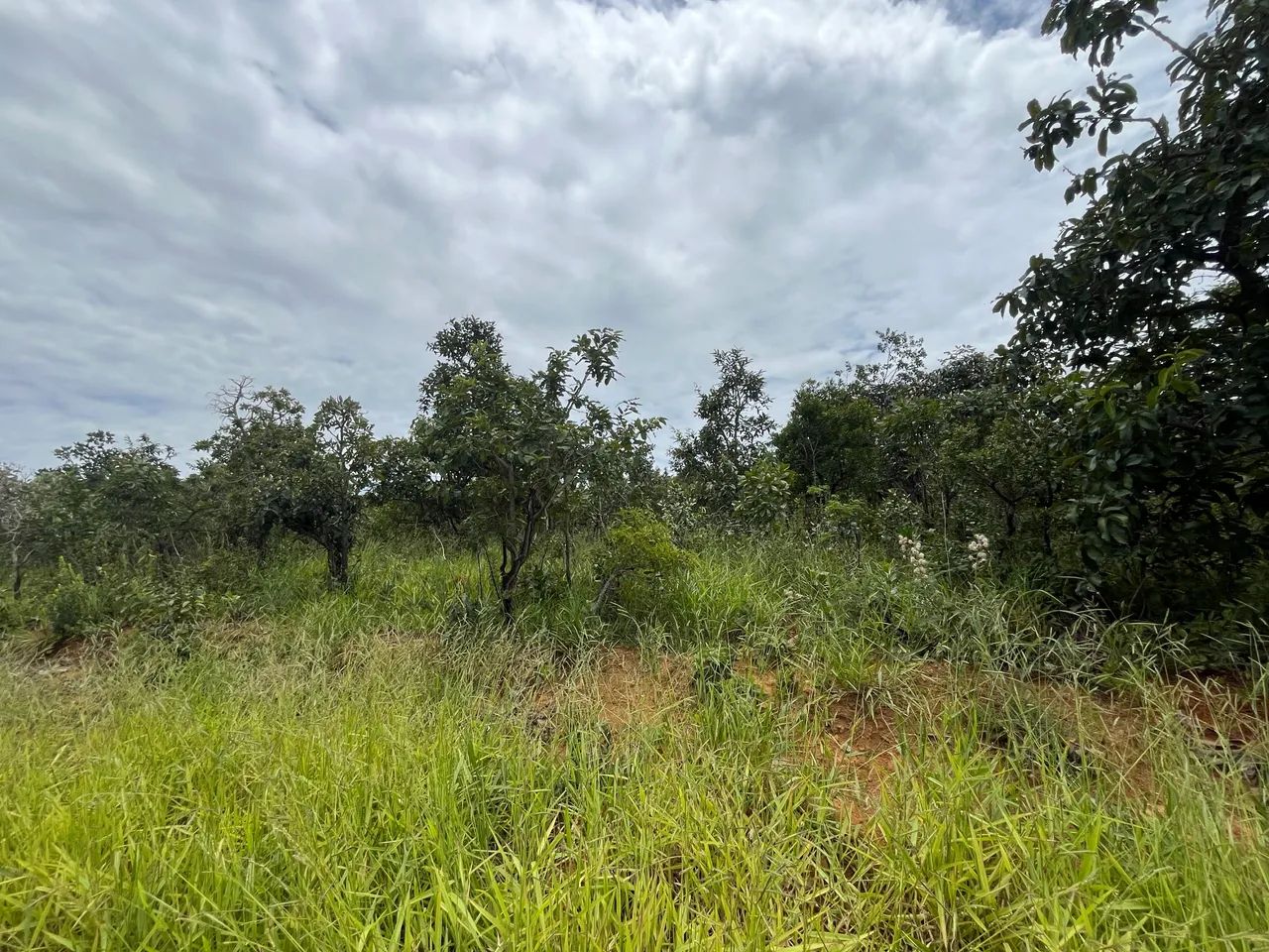 Foto - Luziânia - Parque Santa Fé