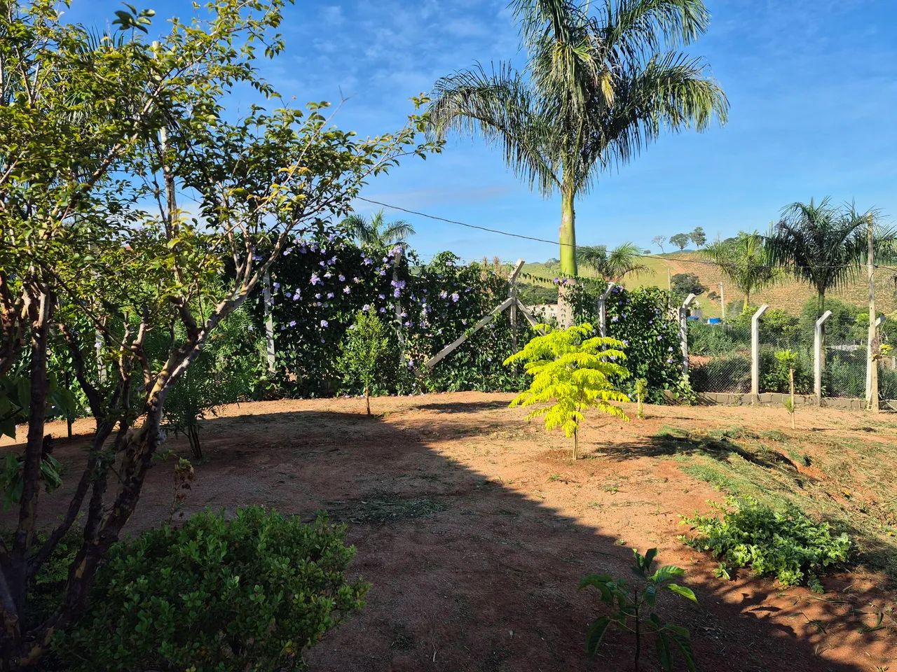 VENDO CHACARAS SUL DE MINAS .EM PARAISOPOLIS - Foto 4