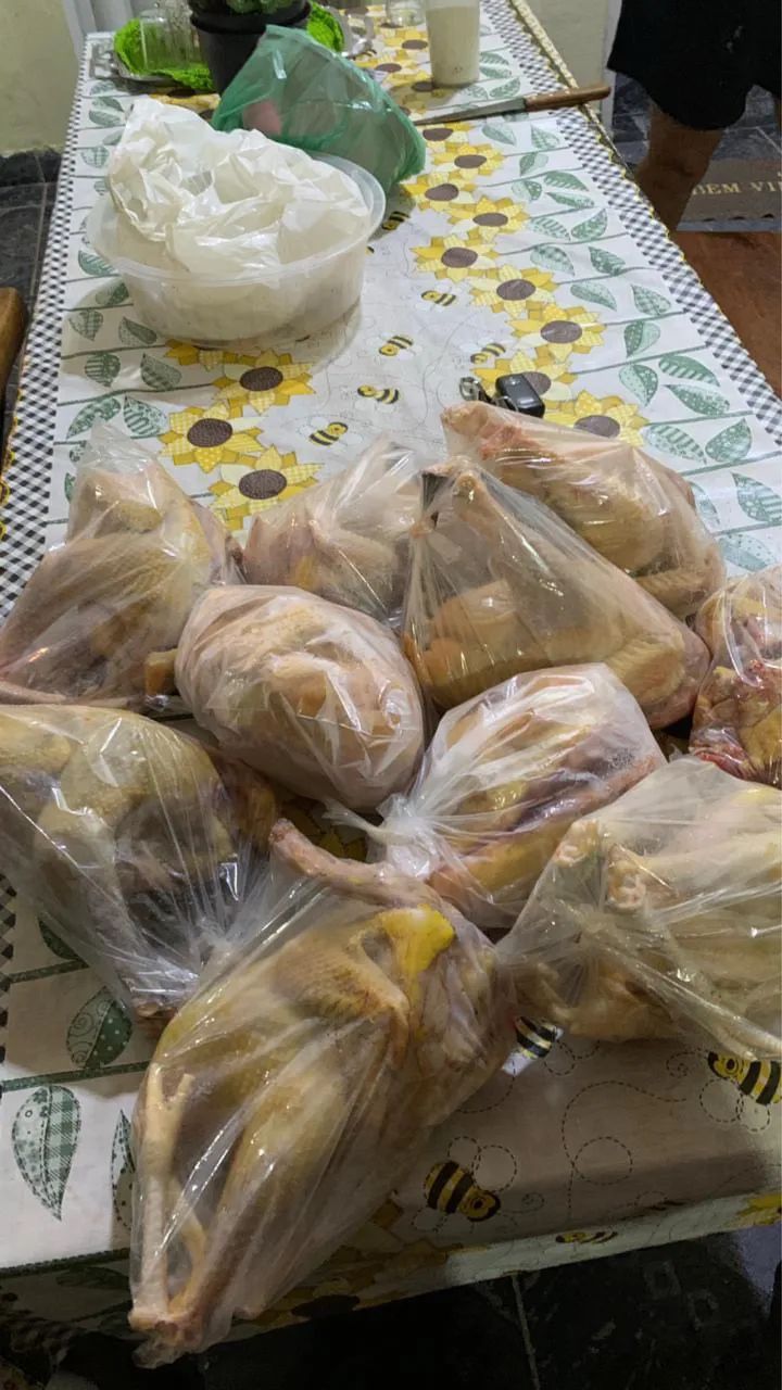 Frango e galinha caipira  - Foto 3