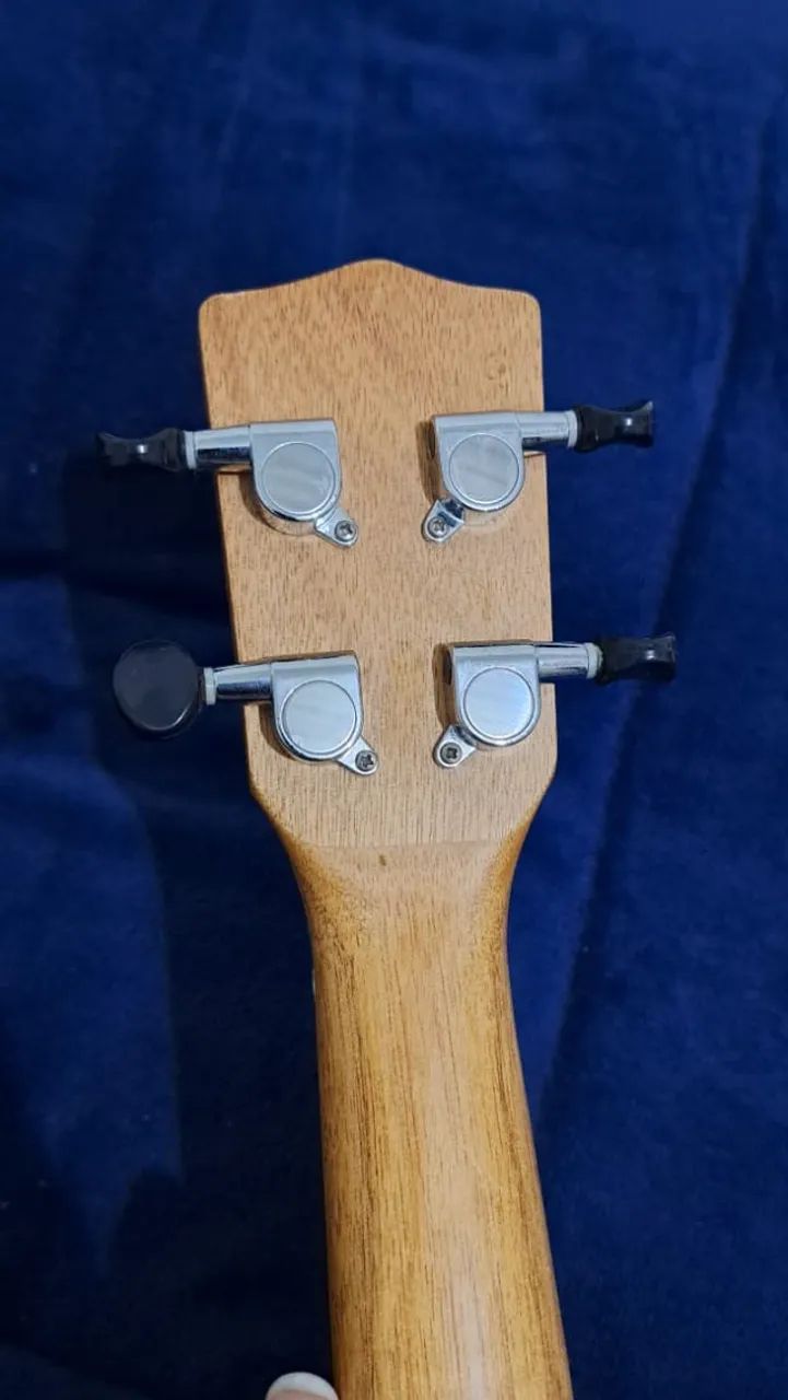 Ukulele Concert - Strinberg - Foto 2