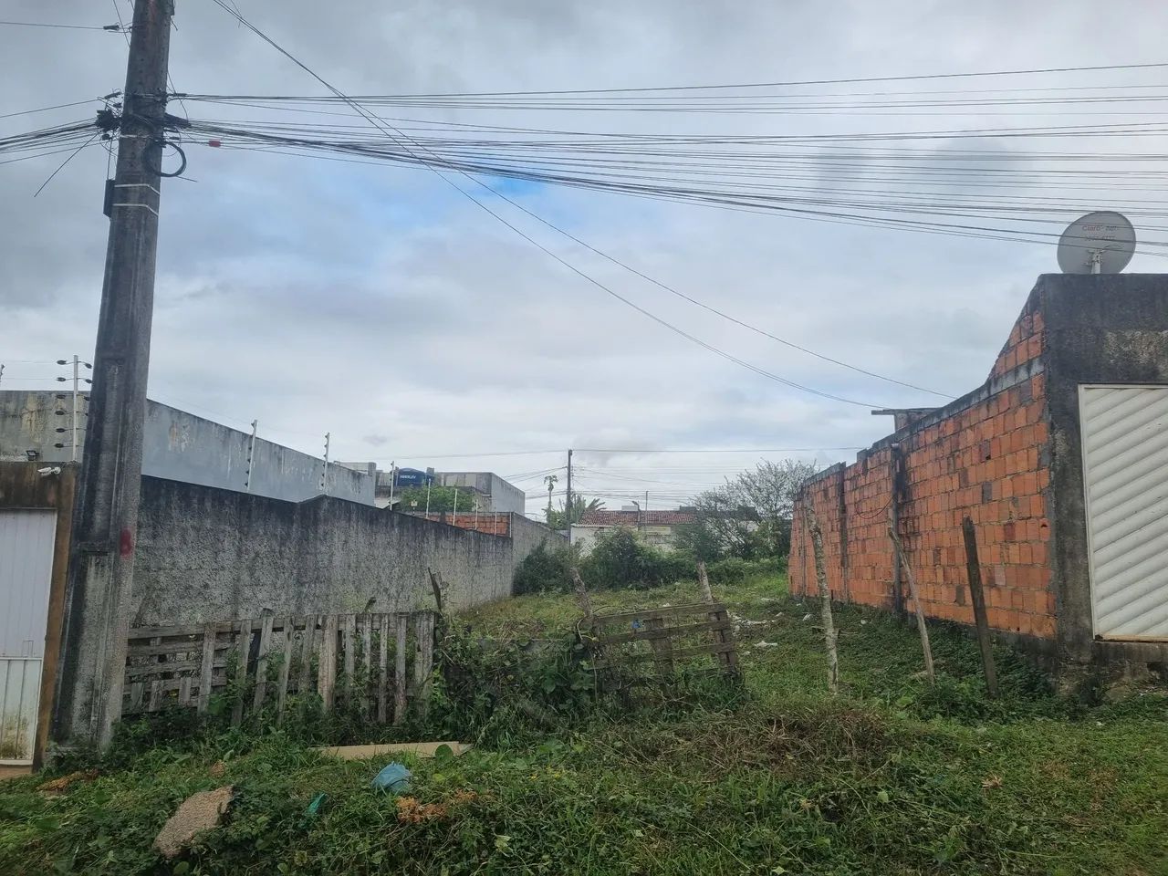 Terreno no guajara - Foto 3