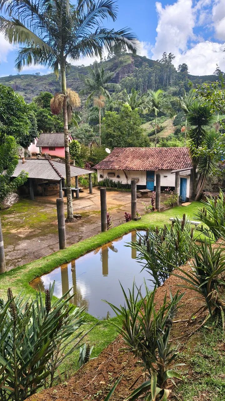 Chácara " à venda" - Foto 5
