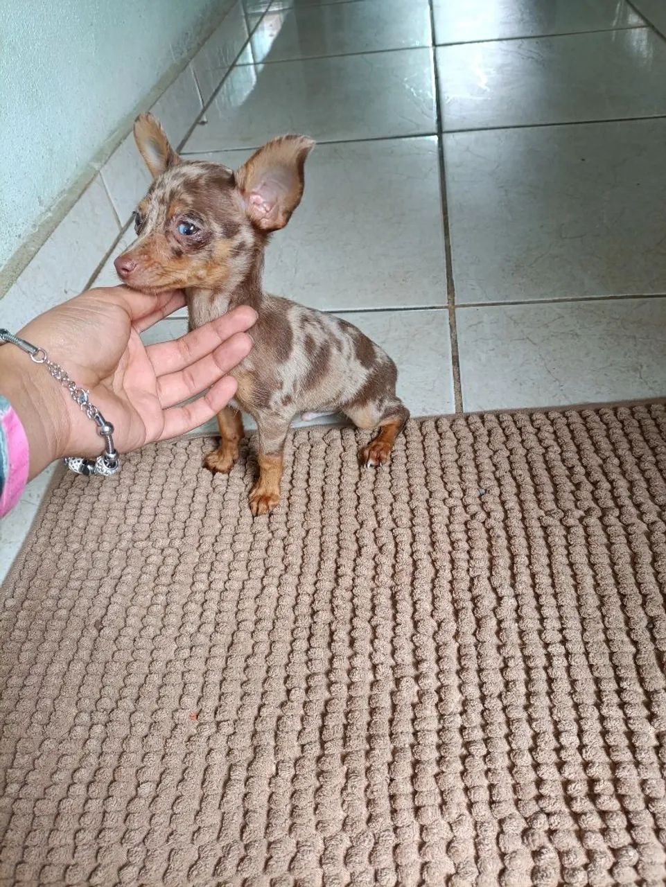 Machinho Zero exótico  - Foto 3
