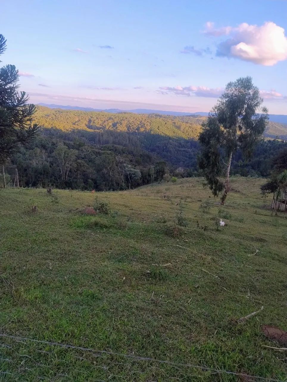 Chácara 4 alqueires e meio ,No interior De Campo Largo  - Foto 3