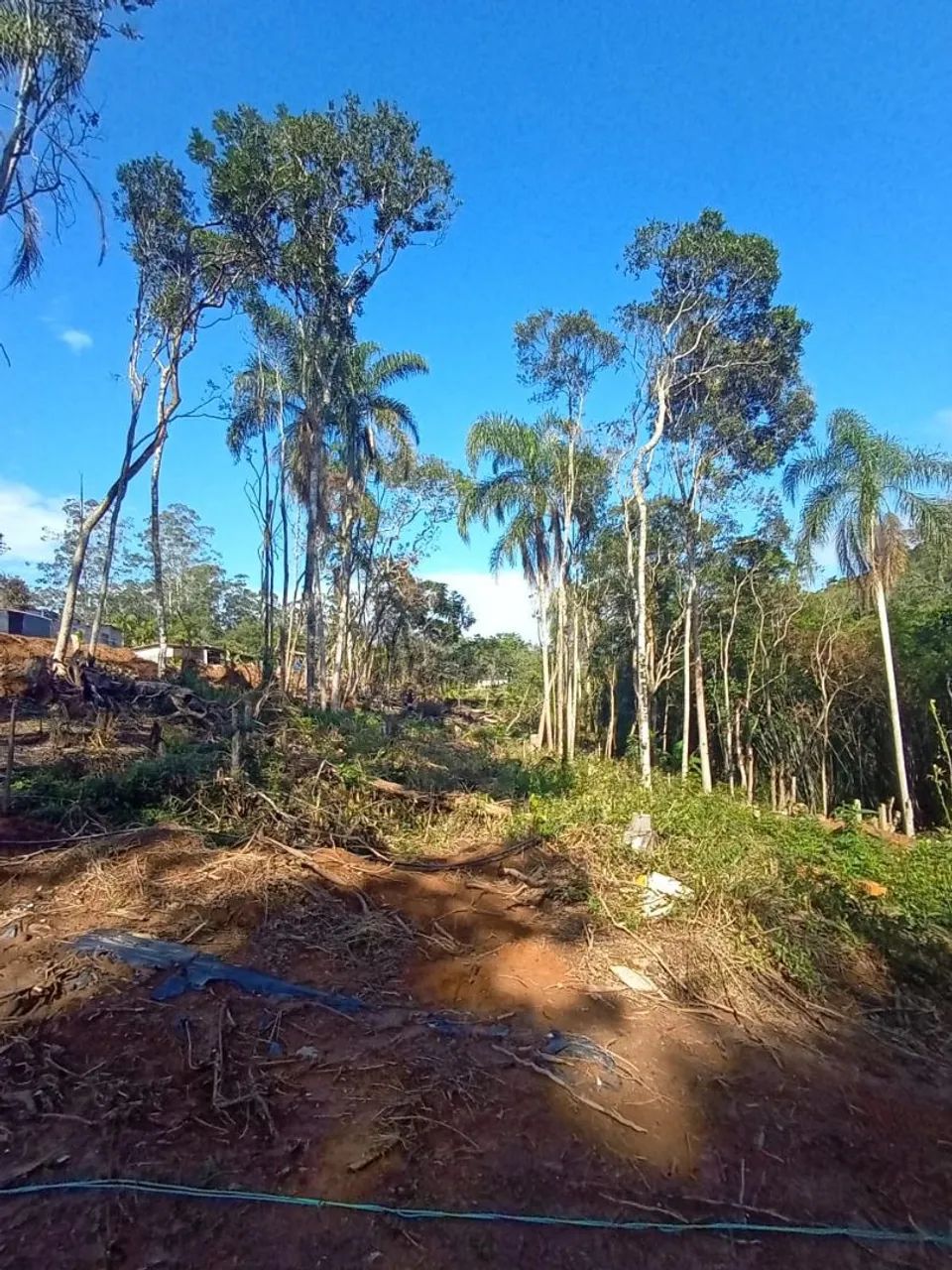 TERRENO ITAPECERICA  - Foto 2