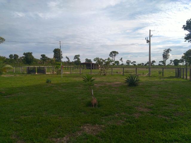 110 Alq. Cocalinho-MT. {Fazenda Diferenciada} R$ 3,5 Milhões - Foto 8