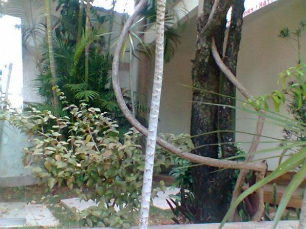 Casa exclusiva ,com 600 M ²no Bairro Belvedere - Foto 16