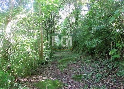 Sítio à venda em Zona rural, São francisco de paula cod:LI50877651 - Foto 7