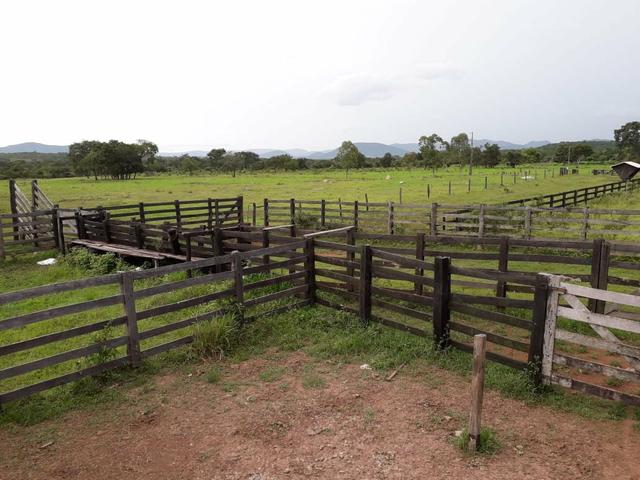 Sitio proximo de cuiabá a 105km, sentido Rondonópolis, Agrovila das palmeiras - Foto 2