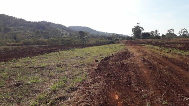 Chácara Venda Ibiporã Próximo Recanto do Engenho - Foto 5