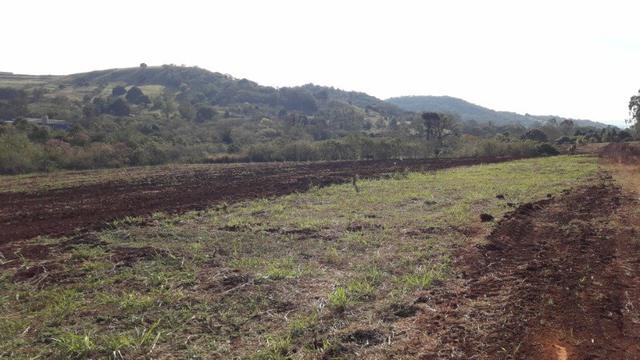 Chácara Venda Ibiporã Próximo Recanto do Engenho - Foto 6
