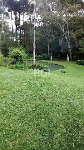 Sítio à venda em Zona rural, São francisco de paula cod:LI50877651 - Foto 11