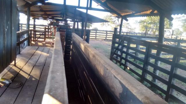 8271 | fazenda à venda em pontal do araguaia - Foto 5