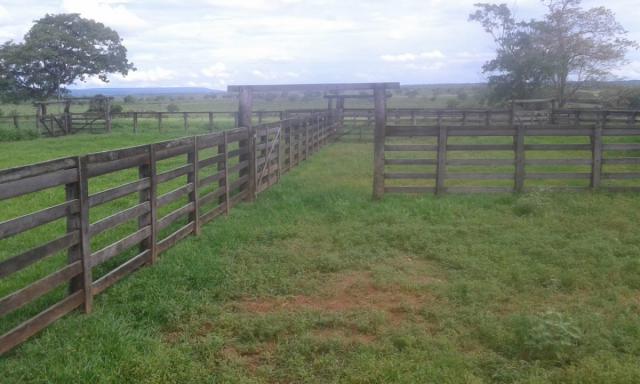 8271 | fazenda à venda em pontal do araguaia - Foto 7