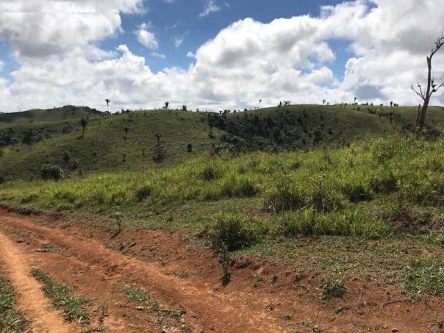 Vende-se Fazenda 425,98 ha no Extremo Sul da Bahia - Itanhém - Foto 6
