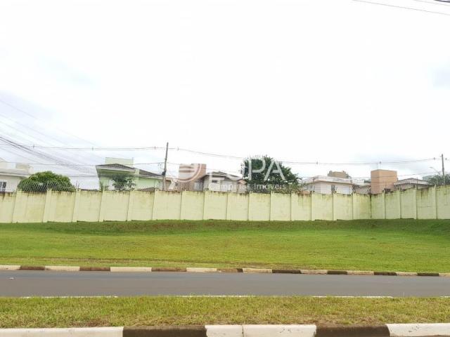 Terreno à venda com 0 dormitórios em Betel, Paulínia cod:TE000372 - Foto 3