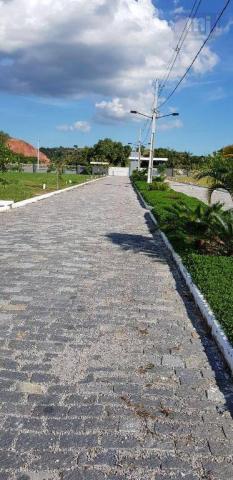 Terreno à venda, 264 m² por r$ 81.942 - boa vista - cachoeiras de macacu/rj - Foto 16