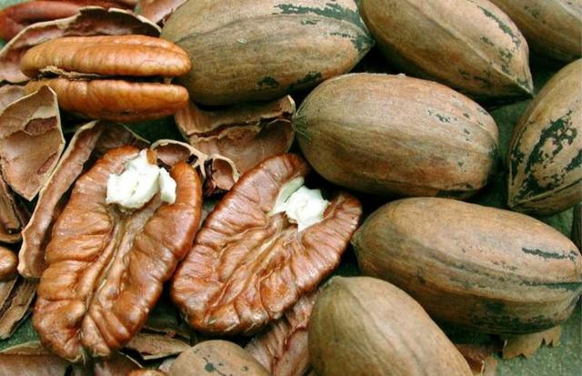 Nozes Pecã 1 Kg (pecan; pecam)