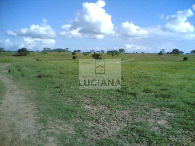 Fazenda com 467 hectares em Limoeiro (Cód.: 103m57) - Foto 9