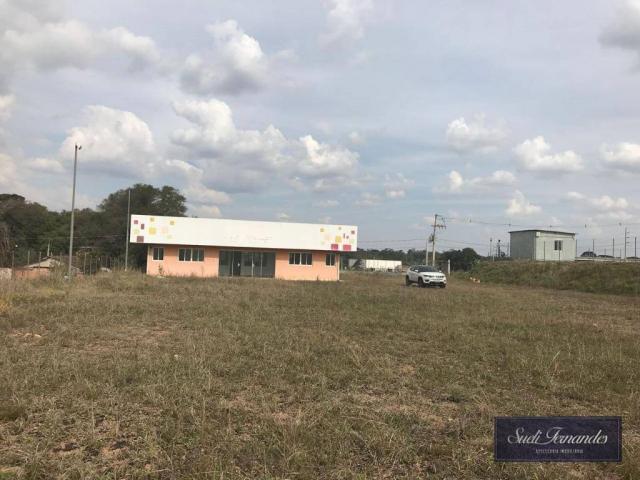 Área para locação, Contorno Leste, São José dos Pinhais.