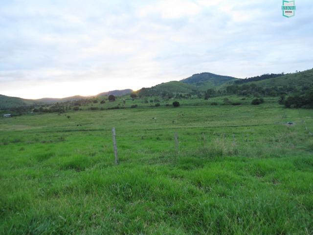 Gongogi - Fazenda pecuária de 655 Hectares toda formada - Foto 5