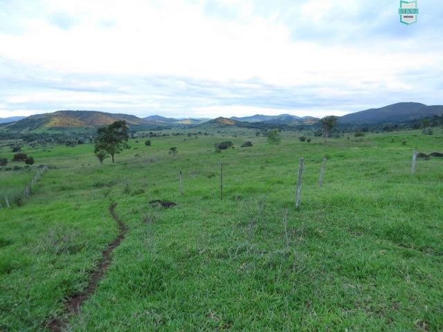 Gongogi - Fazenda pecuária de 655 Hectares toda formada - Foto 17