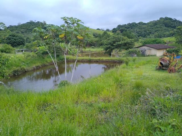 Fazendinha 13 alqueires Cariacica - Foto 9