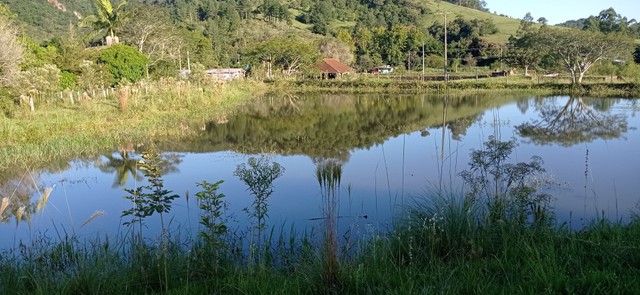 Chácara 2 hectares com açudes  - Foto 5