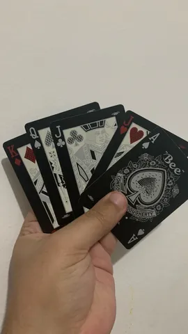 Baralho 2 Jogos de 54 Cartas Tradicional, Poker, Canastra, Buraco, Jogo de  Cartas 100% Plástico Estojo de Metal