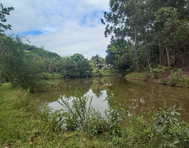 Ótimo sítio venda em Rochedo de Minas 