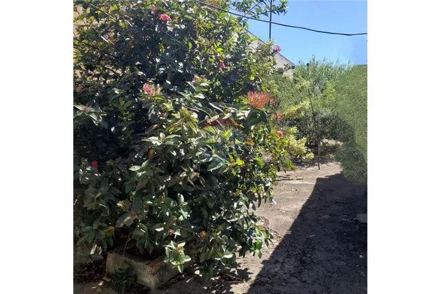 Terreno para alugar em Campo Grande de 320.00m² com 3 Garagens - Foto 6