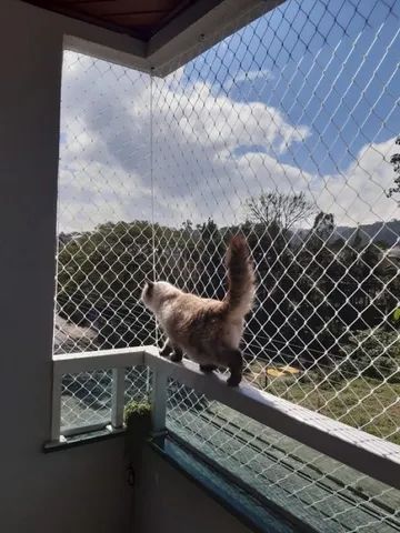 Redes de Proteção - Foto 5