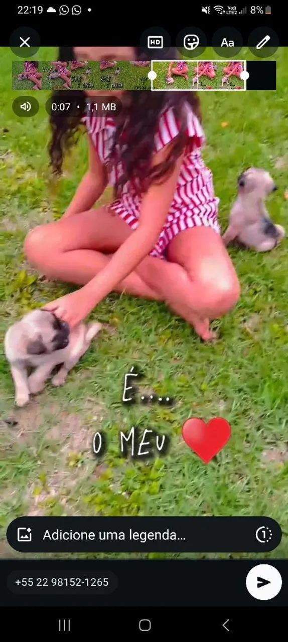 Pug com pedigree, aceito visitação e entrego.  - Foto 5