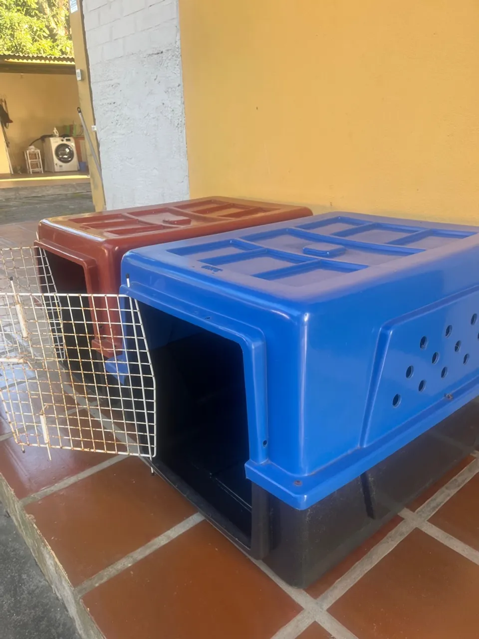 Caixa de transporte Grande Nuneto 5