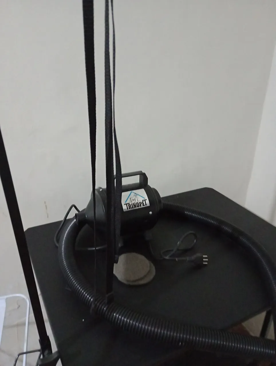 Secador, soprador, banheira e mesa de tosa
