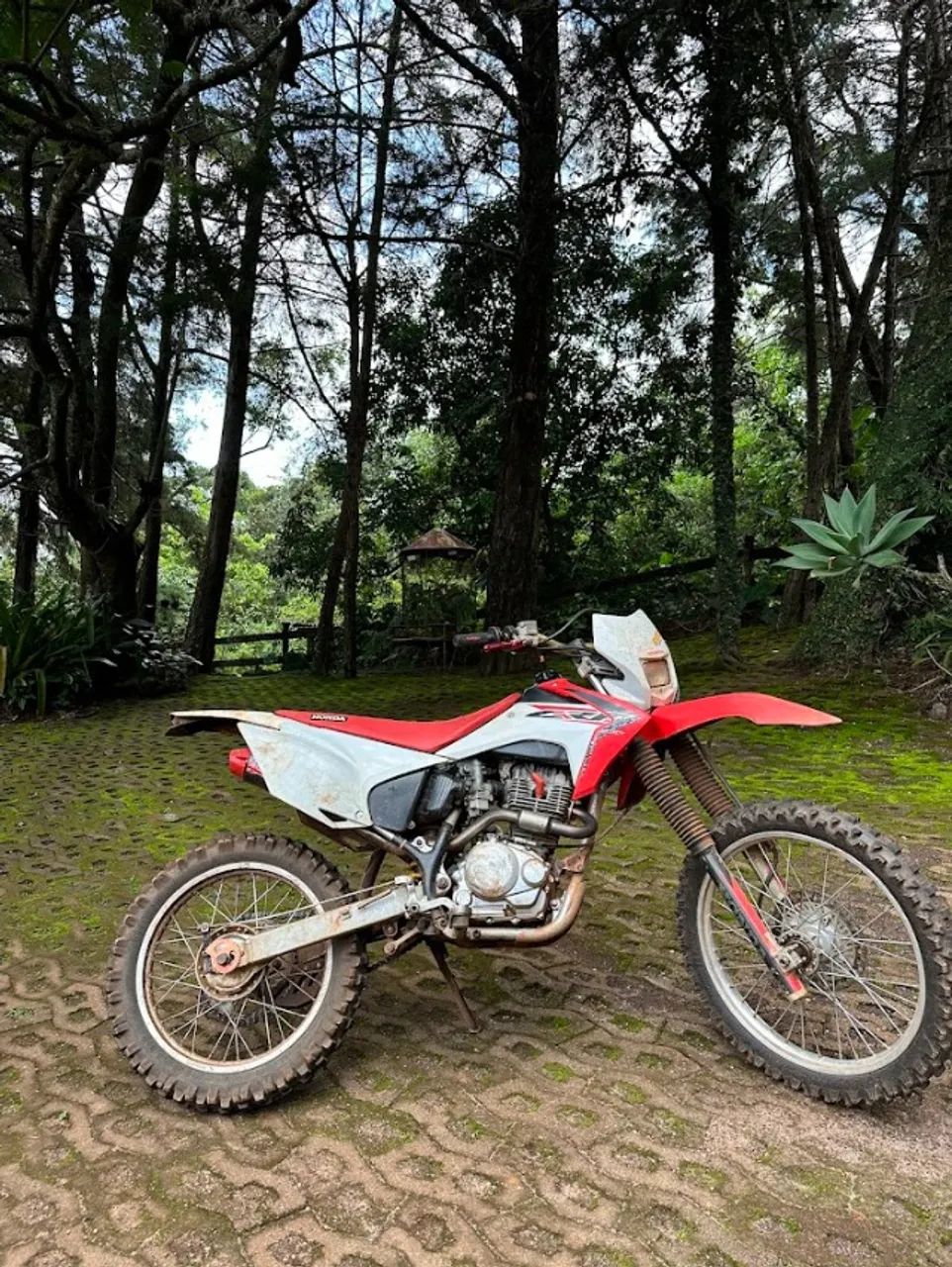 CRF 230F 2018
